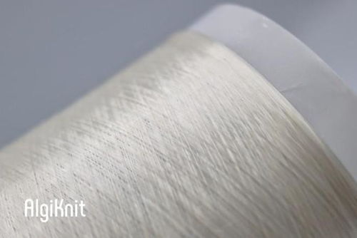 AlgiKnit 以海藻编织可持续纺织业的未来